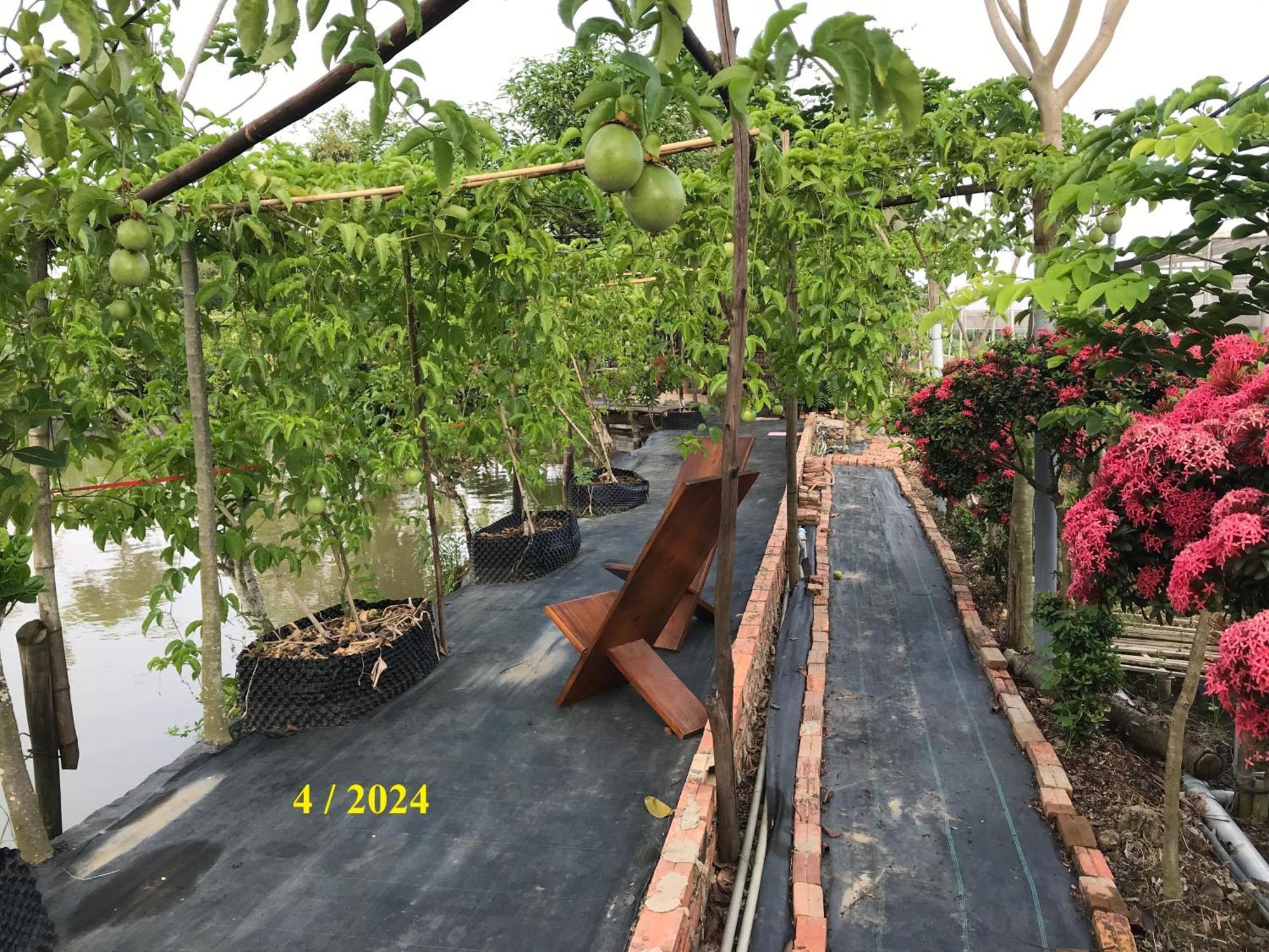 Maison En Bambou Phong-Le Vent Sa Dec Bagian luar foto