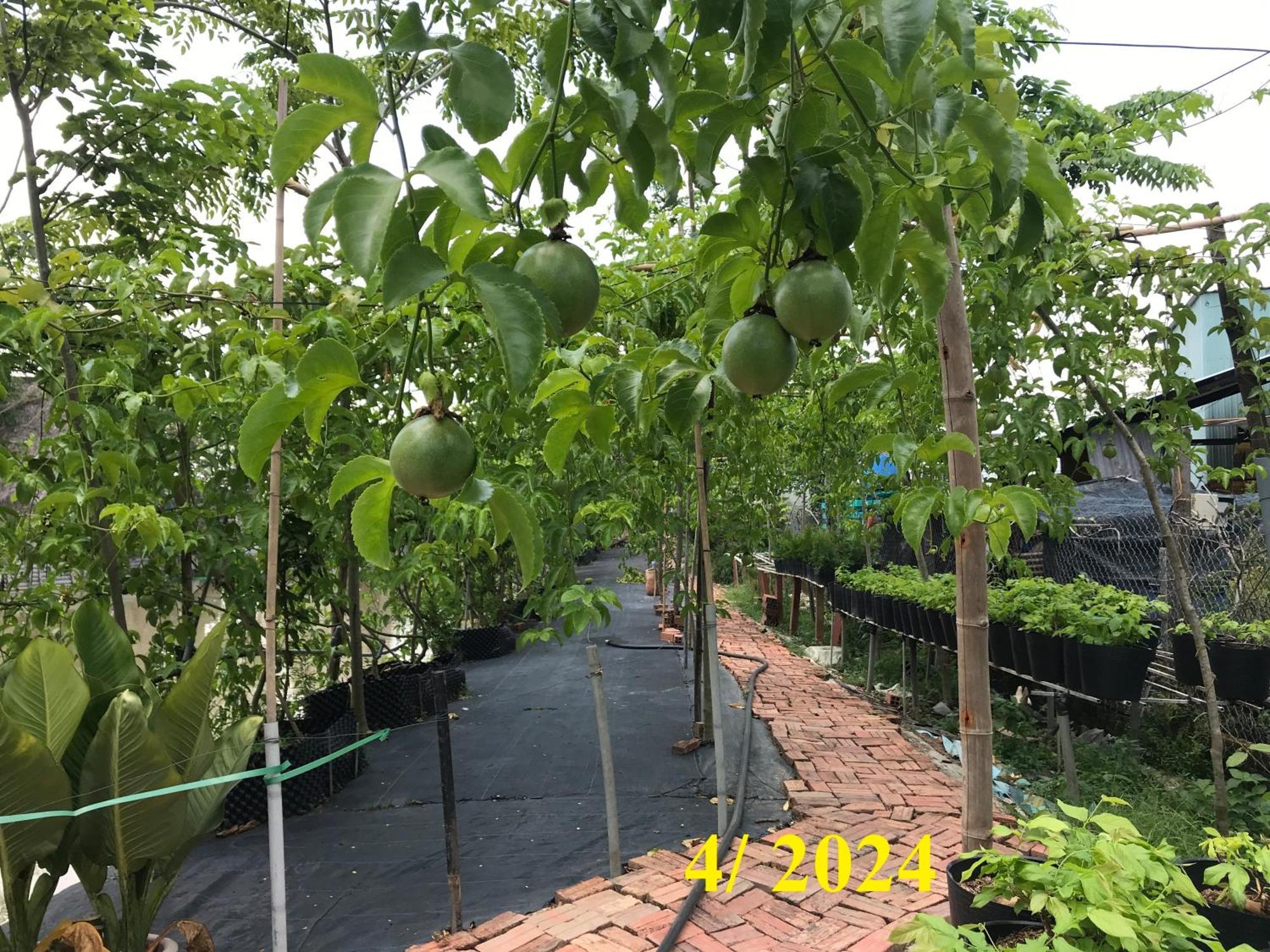 Maison En Bambou Phong-Le Vent Sa Dec Bagian luar foto